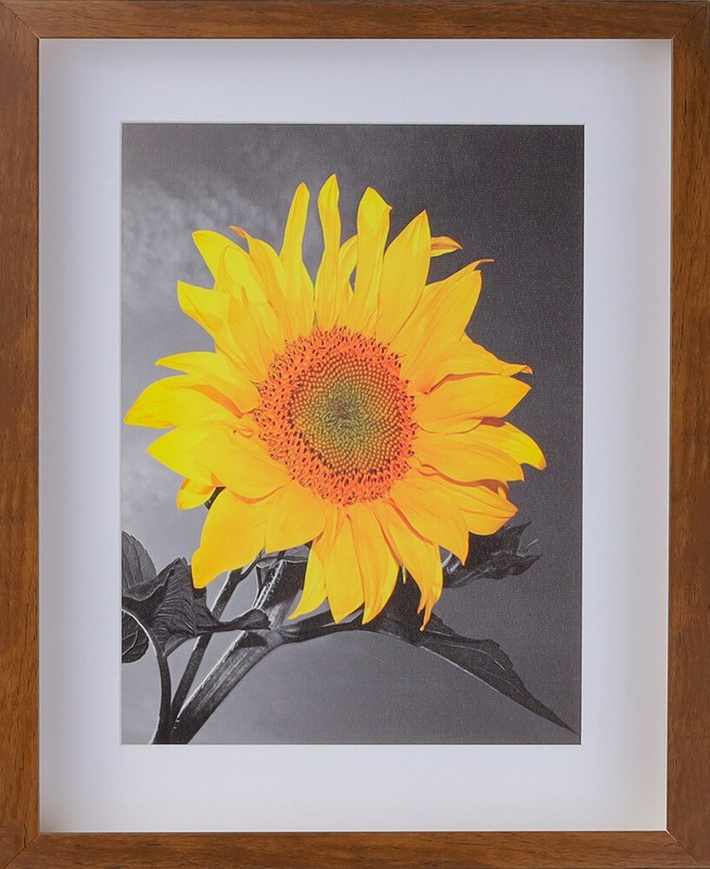 2-3/16" Brown Shadow Box Picture Frame 11x14 12x18 16x20 24x36 30x40 36x36+ gallery