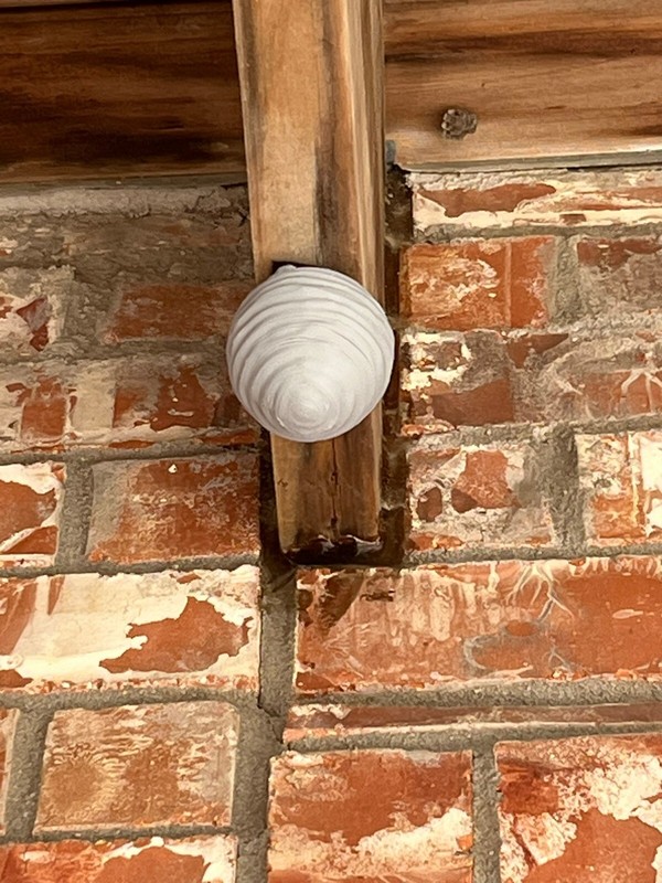 4 Pack Wasp Nest Decoy (Durable plastic, NOT paper) Hornet Decoy, Deterrent gallery