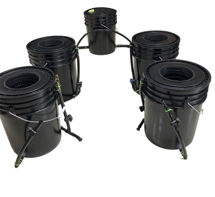 Versatile Hydroponics Ltd. top fed DWC System. Quality Made By Growers 4 Growers gallery