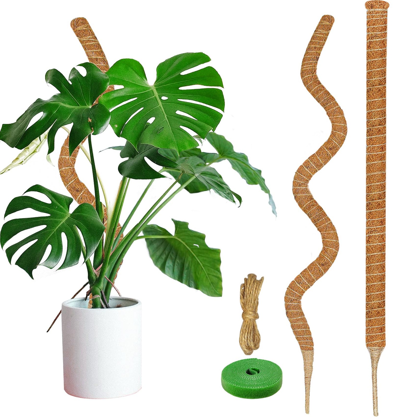2 Pack Moss Pole, 63-Inch Moss Poles for Plants Monstera,Bendable Plant Stake... gallery