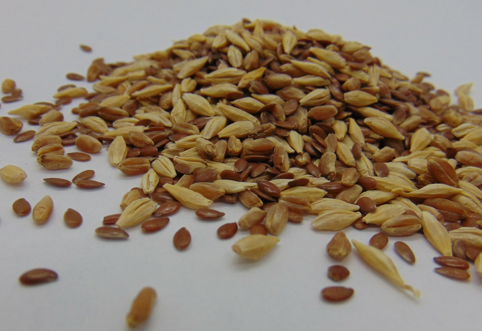 Cat Grass Mix 12 oz gallery
