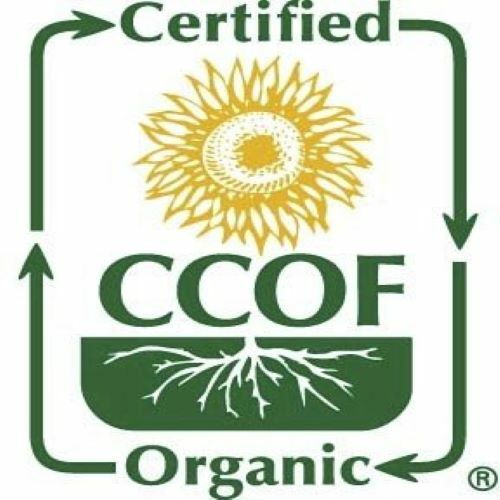 McCabe Organic Rice Flour, 1 lb (16 oz), USDA & CCOF Organic Certified gallery