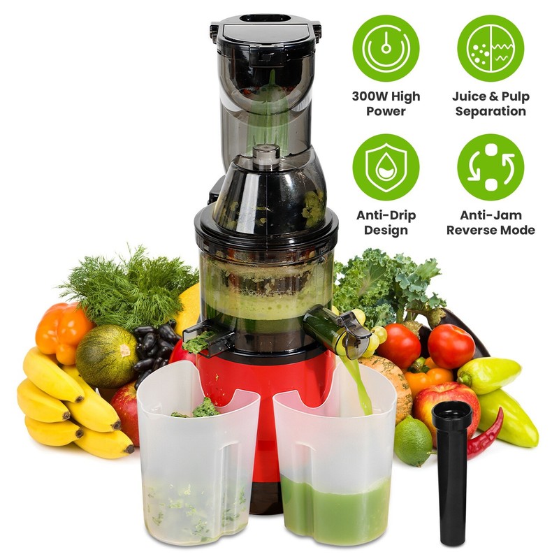 Cold Press Masticating Juicer Machine 9.45" Wide Chute Quiet Juicer Easy Clean gallery