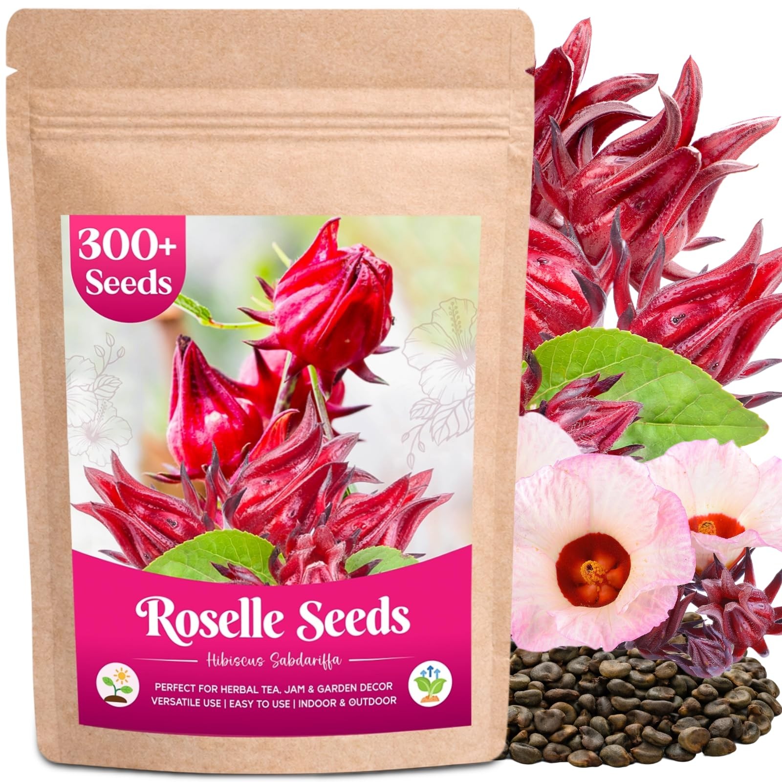 300+ Roselle Seeds for Planting - Hibiscus Sabdariffa for Tea, Jam & Garden gallery