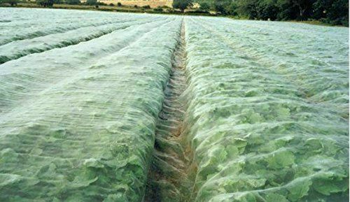 Mosquito Insect Netting Garden Bug Insect Barrier Bird Net Plant Protect 10ft gallery