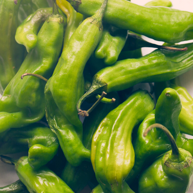 Shishito Pepper Seeds | Non-GMO | Free Shipping | Seed Store | 1014 gallery
