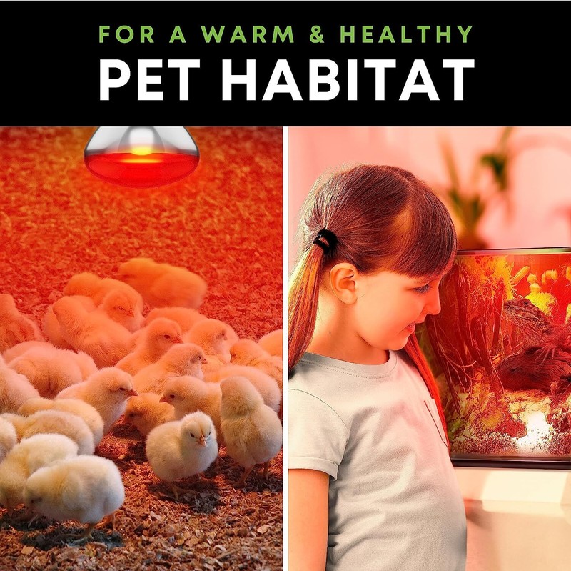2 Pack 250W Watt Infrared Brooder Chicken Coop Hen Red Heat Lamp R40 Medium E26 gallery