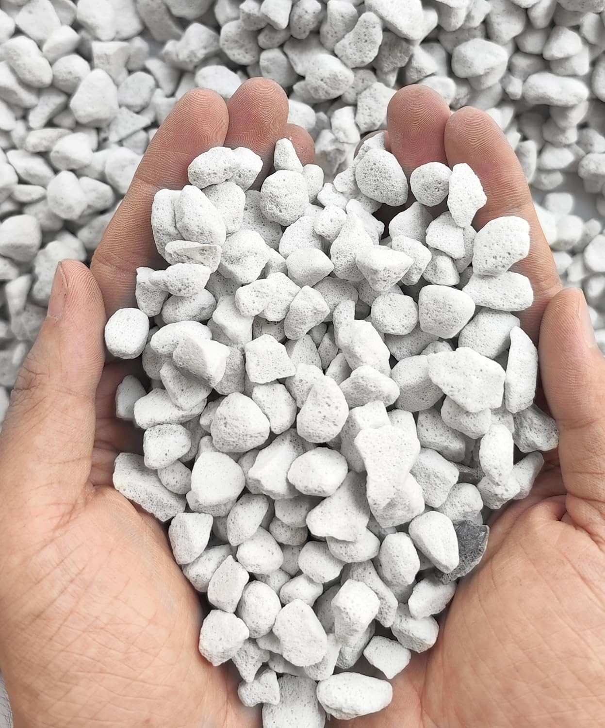 10QT Organic Perlite Horticultural Soil Amendment for Plants & Drainage gallery