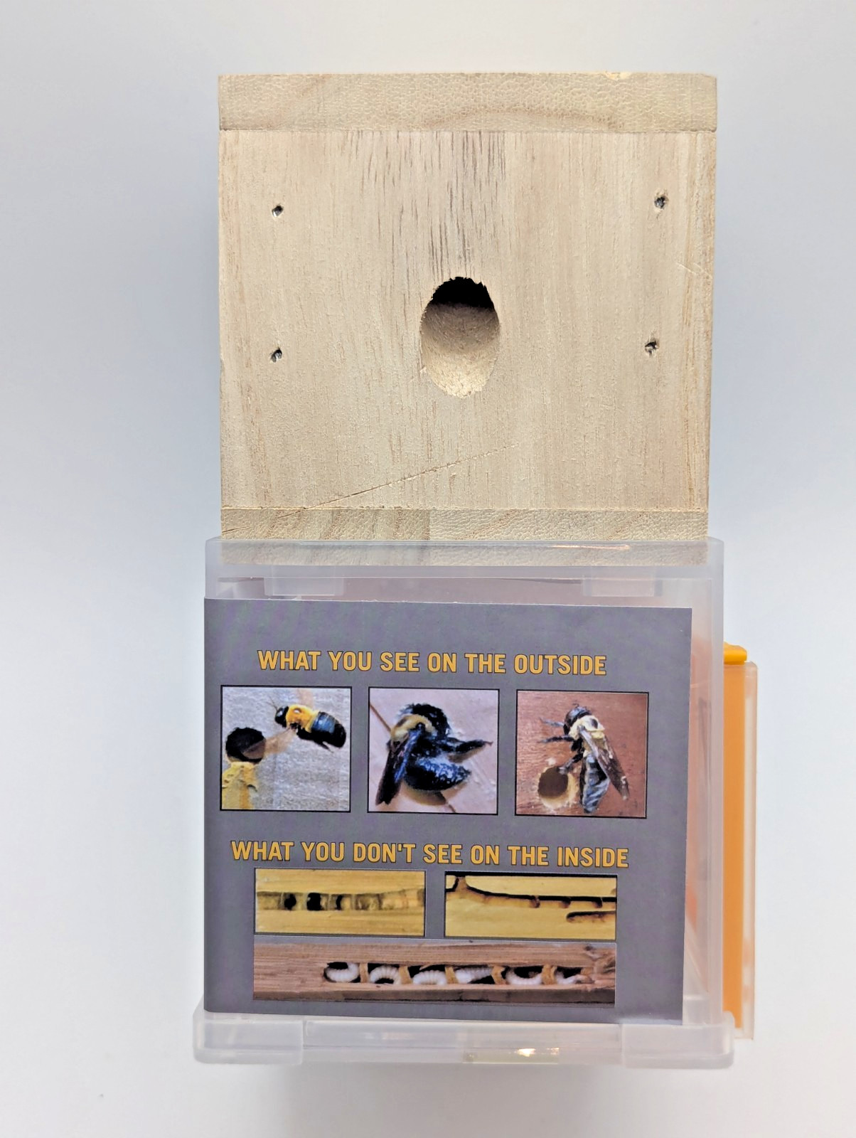 Bees 'N Things Outdoor Carpenter Bee Traps Wood Catch & Release NEW gallery