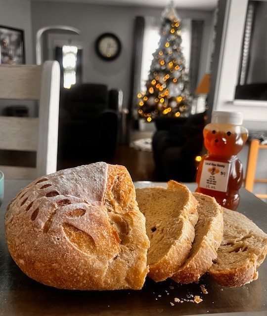 Organic Dehydrated Sourdough Starter / 20 grams freshly made by Town Family Farm gallery