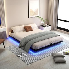 Floating Bed Frame Queen Size with LED Lights Metal Platform Bed No Box Spring N