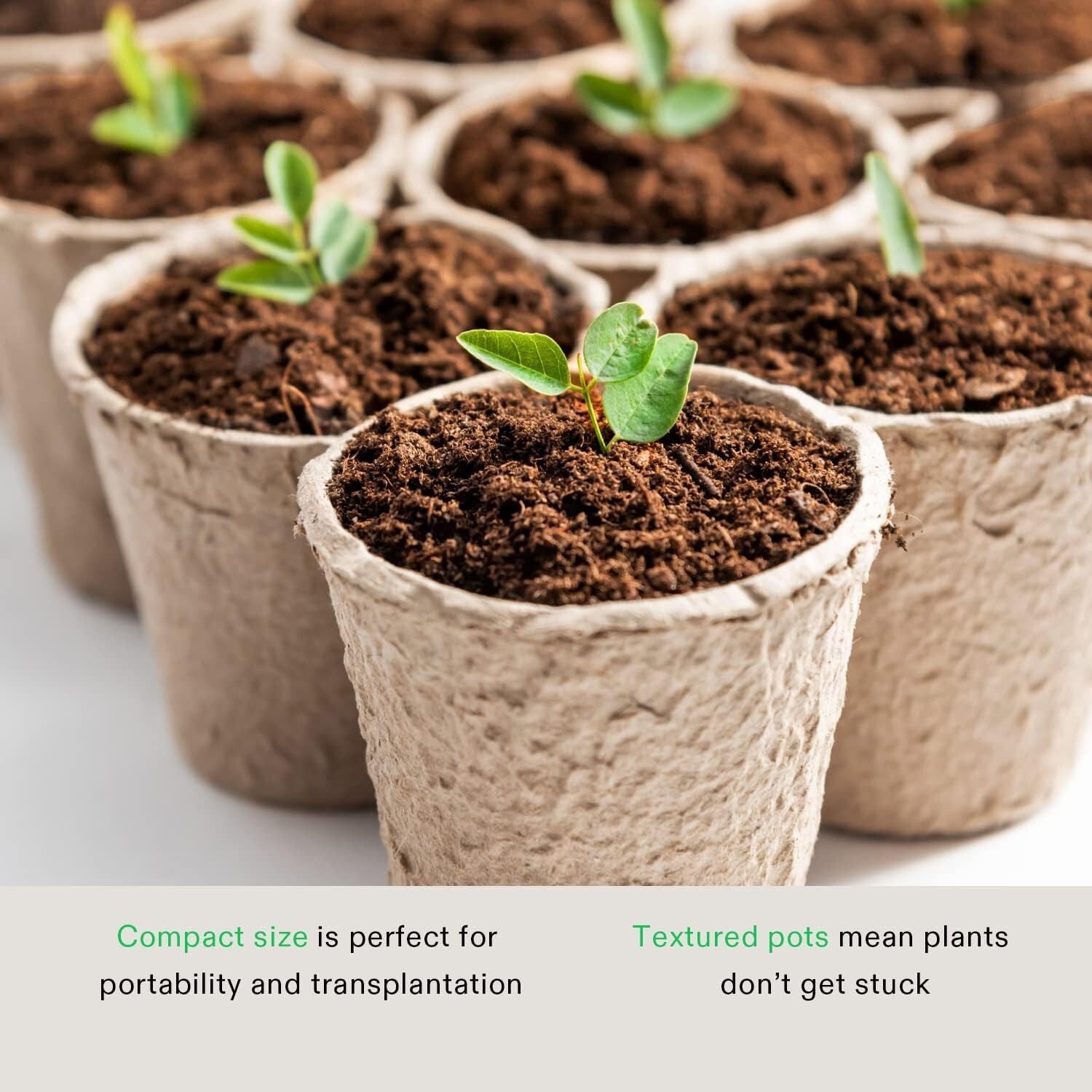 30/60/120PCS 3.15 Inch Peat Pots - Biodegradable Seed Starting Nursery Trays gallery