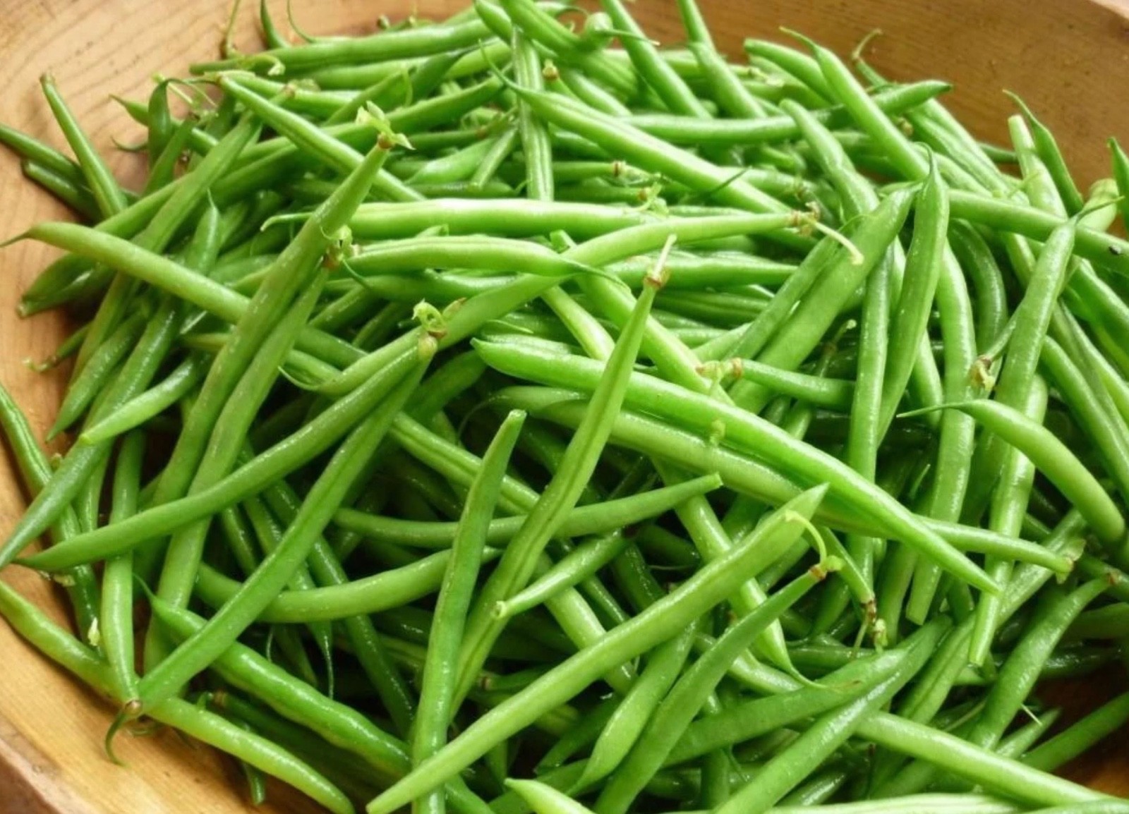Petite French Filet Stringless Bush Bean (Haricot Vert) Fresh Seeds - Heirloom gallery
