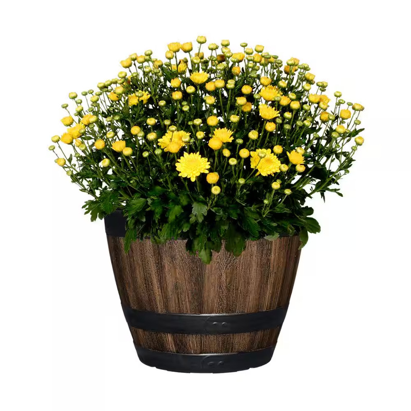 12.8 In. Reedley Medium Kentucky Walnut Brown Resin Barrel Planter (12.8 In. D X gallery