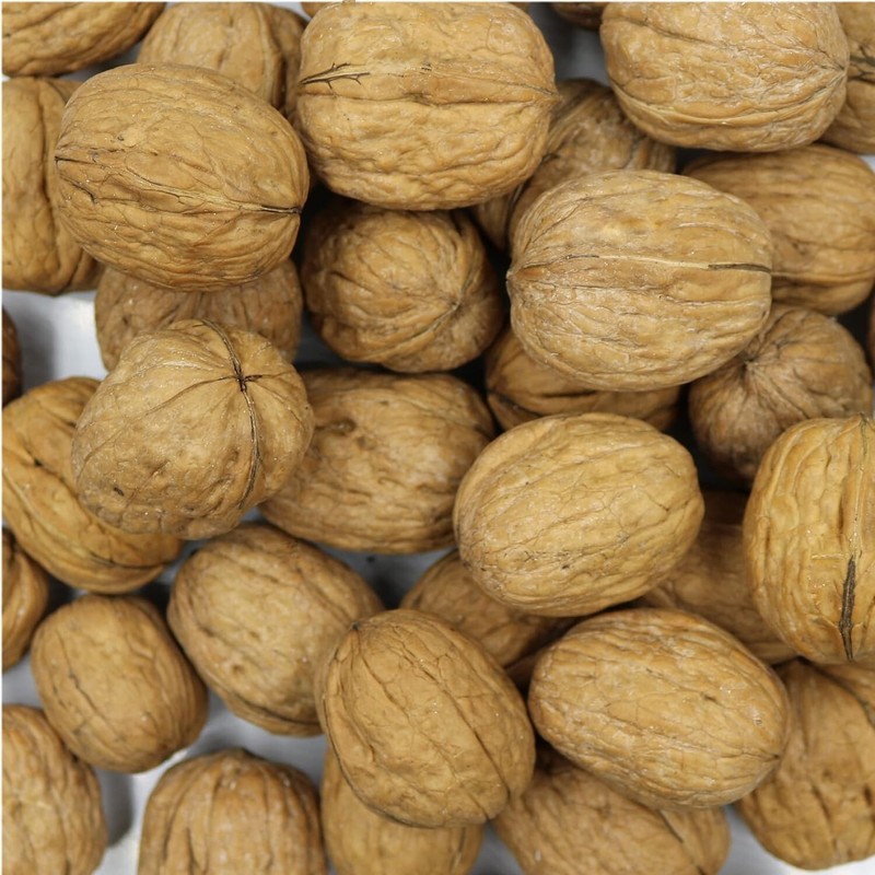 FirstChoiceCandy whole walnuts enclosed within their Shell gallery