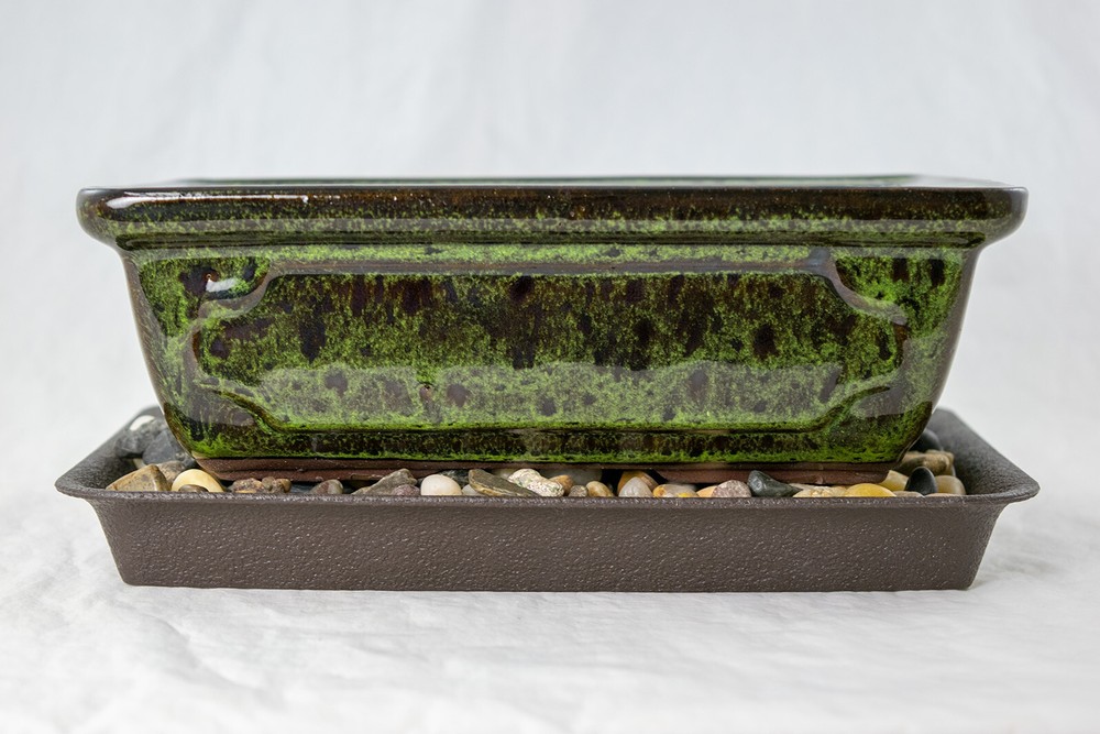 8" Rectangular Moss Green Bonsai Cactus Succulent Pot + Tray + Rock + Mesh Combo
