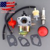 Carburetor Kit for PowerSmart DB2194SR 170cc Push Lawn Mower Carb Gasket gallery