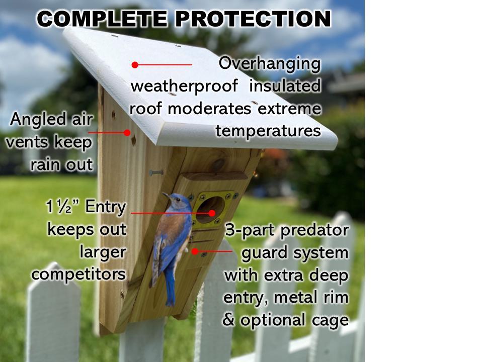 Peterson Bluebird House | Cedar | Insulated | Front Opening | Predator Guard | gallery