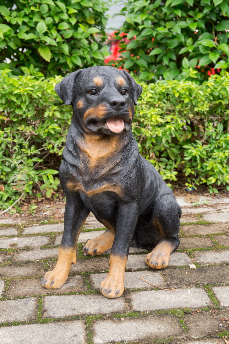 Sitting Rottweiler Life Size Dog Garden Statue Yard Lawn Decor For Dog Lover gallery