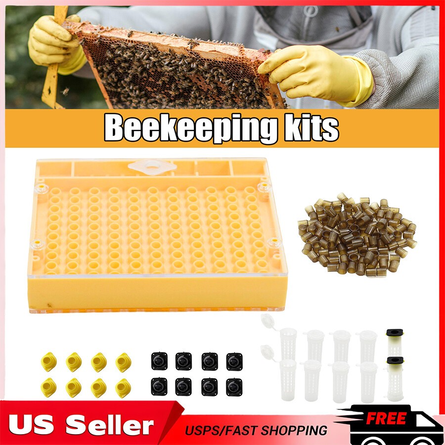 Beekeeping Nicot Bee Queen Rearing Grafting Kit for Nicot System Bee Keeping Que gallery