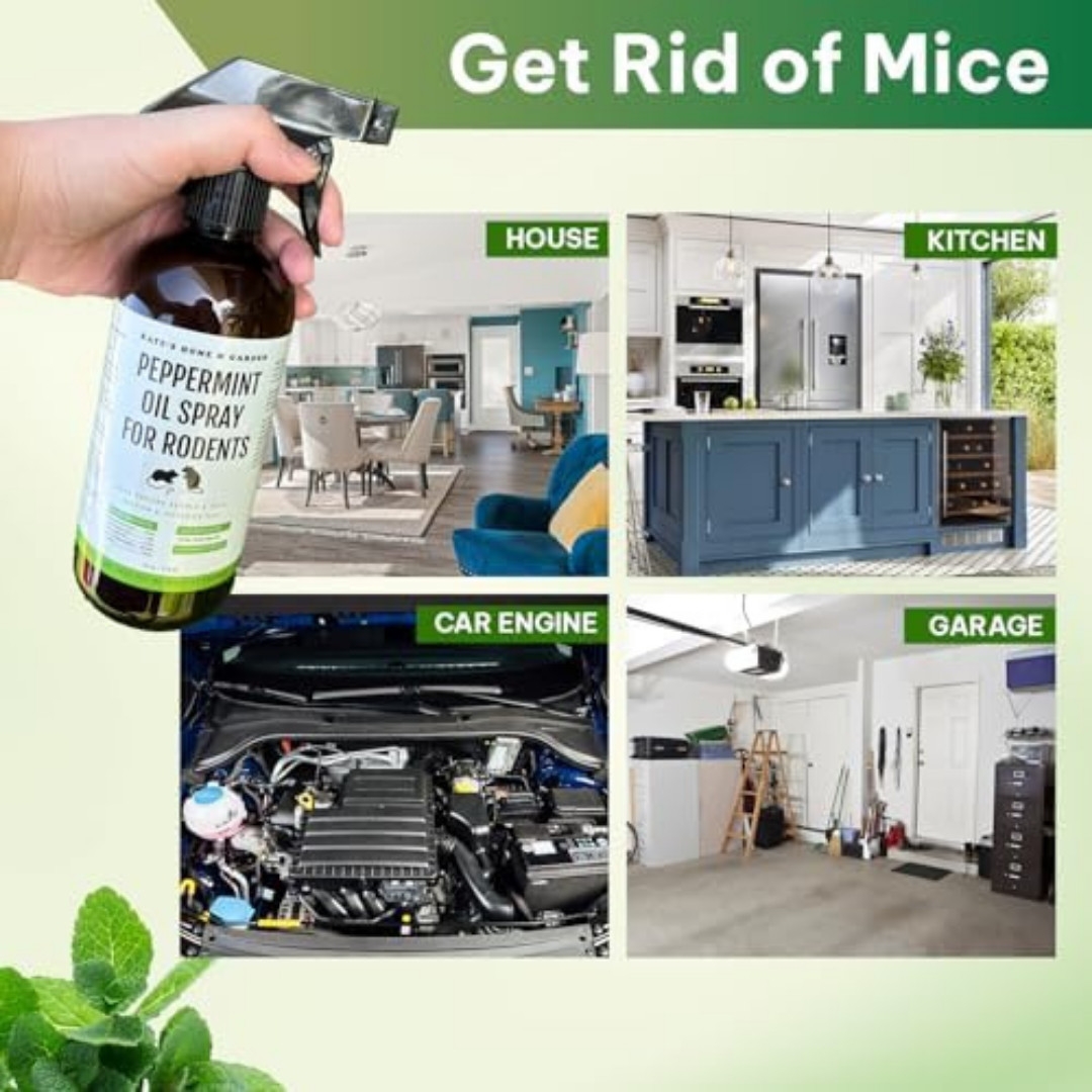 Peppermint Oil Spray, for Rodents Mice Raccoon Bat and, Squirrels Rodent Repelle gallery