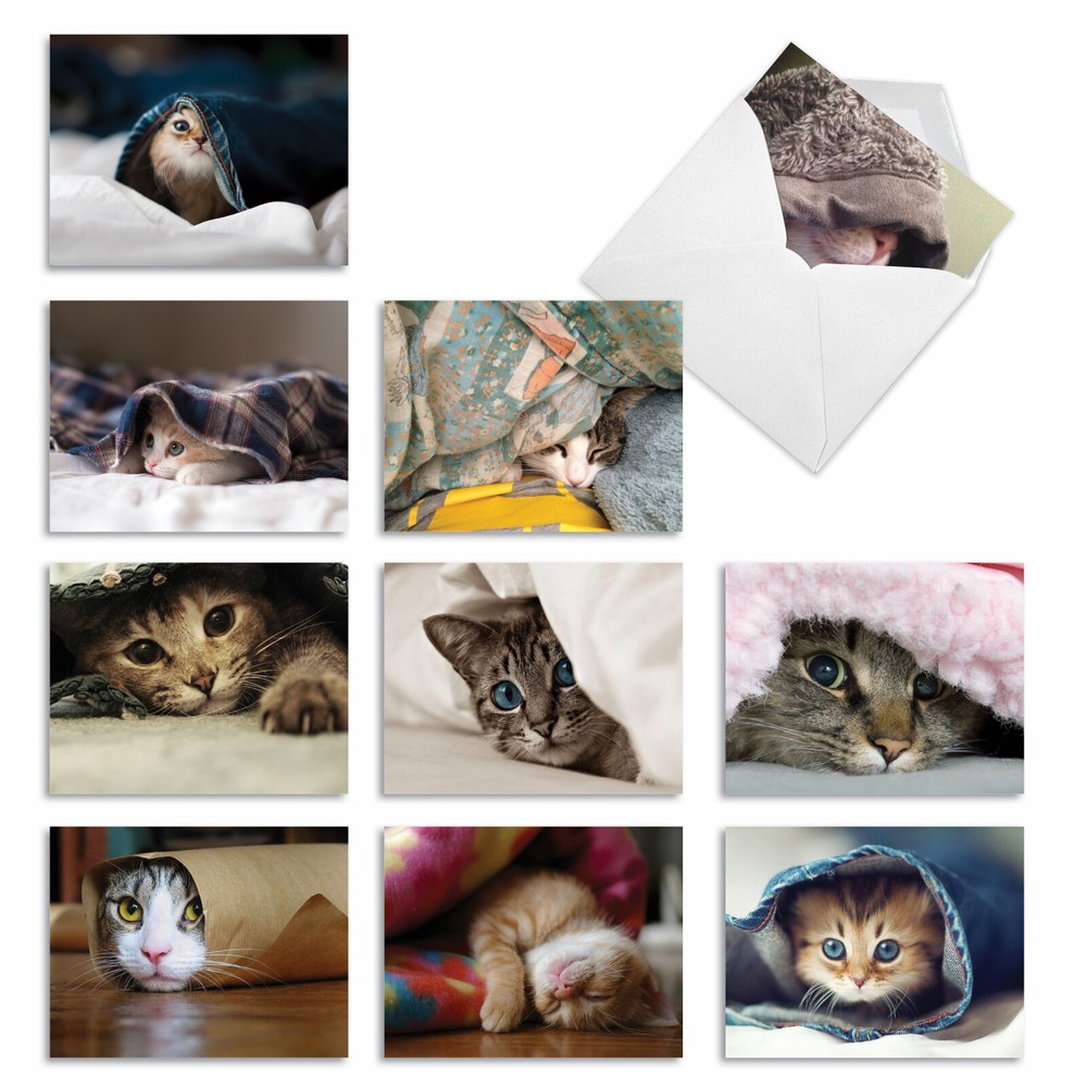 10 Assorted All Occasion Blank Note Cards - CAT YOU SEE ME NOW M1543BN