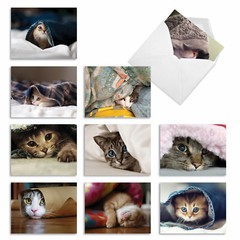 10 Assorted All Occasion Blank Note Cards – CAT YOU SEE ME NOW M1543BN