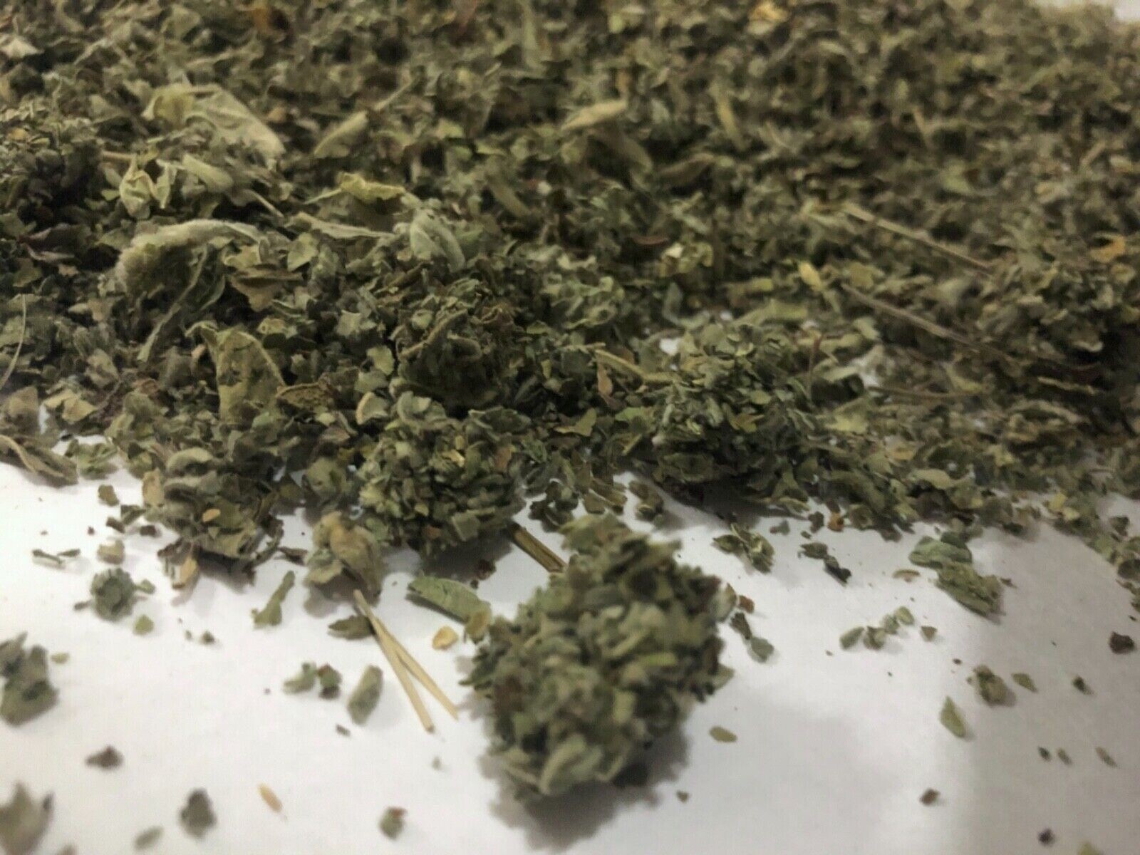Organic Marshmallow LEAF High Quality Althaea Herb Tea 1 lb (16 oz) gallery