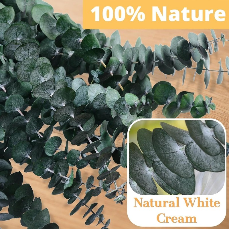 Bulk 100 Stems Dried Eucalyptus & Lavender, DIY Wedding Shower Decor Supplies gallery