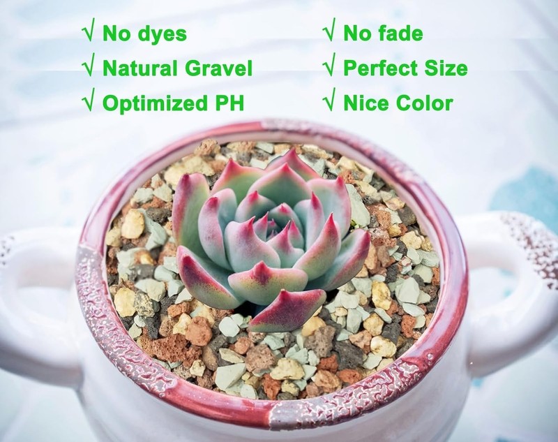 2/5Lb Succulent and Cactus Soil Gritty Mix for Terrarium and Indoor Plants gallery