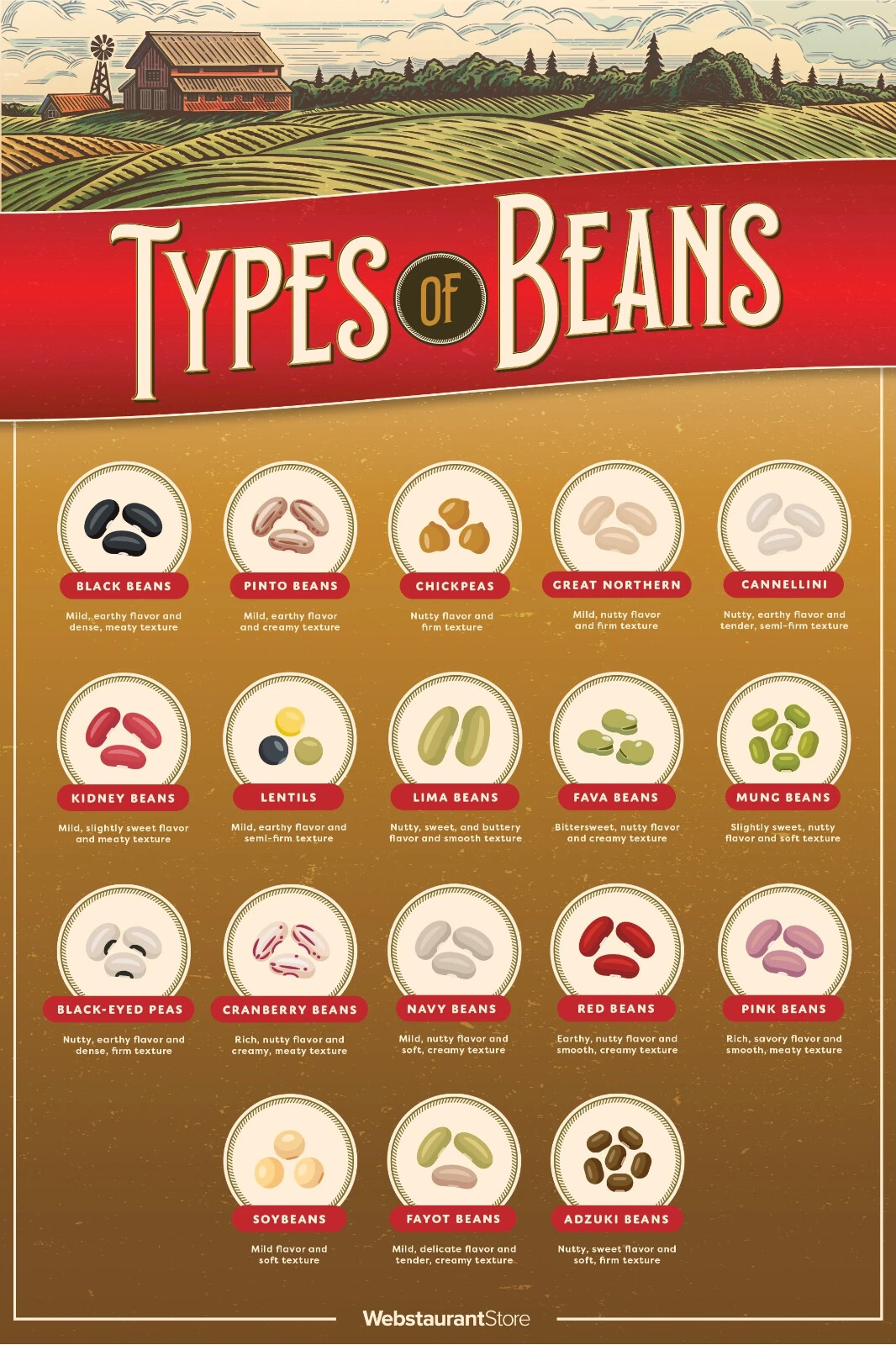 Bulk Dried Beans 8 lb. Bag (select variety from drop down) gallery