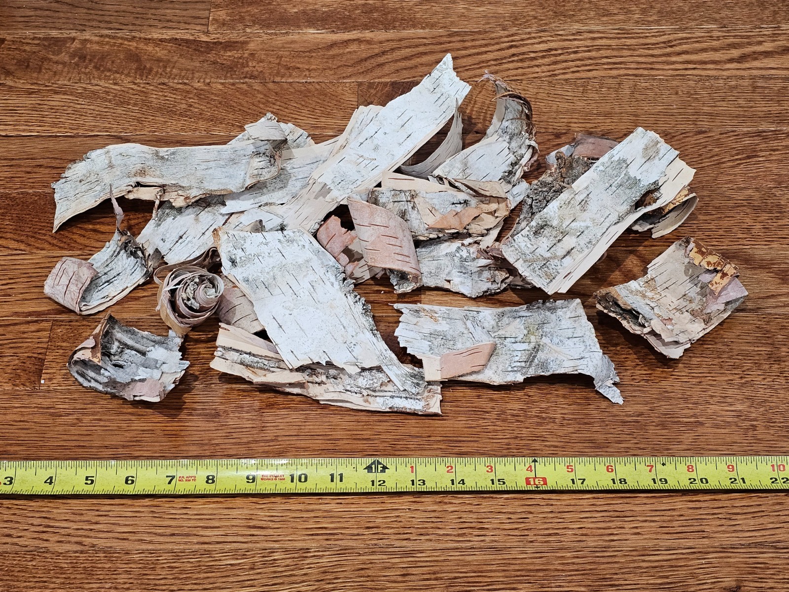 Birch Bark for Firestarters or Crafts gallery
