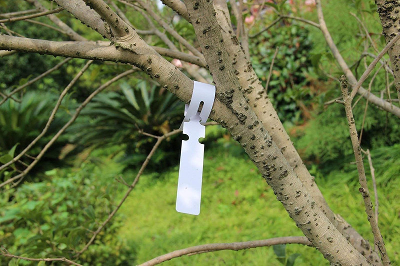 200Pcs Plastic Plant Labels Wrap Around Tree Tags Adjustable White gallery