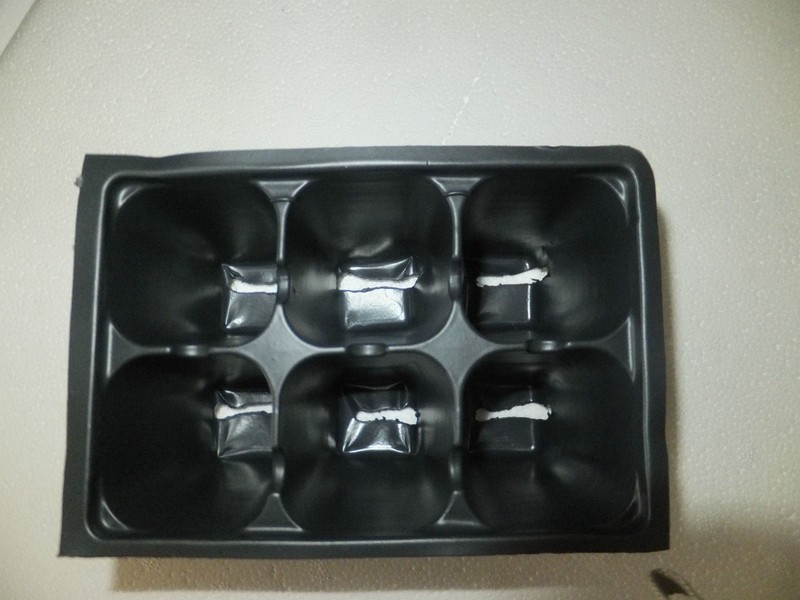 10 SHEETS Seed Starter Trays Inserts Packs - 1206 style - 720 cells 72/tray gallery