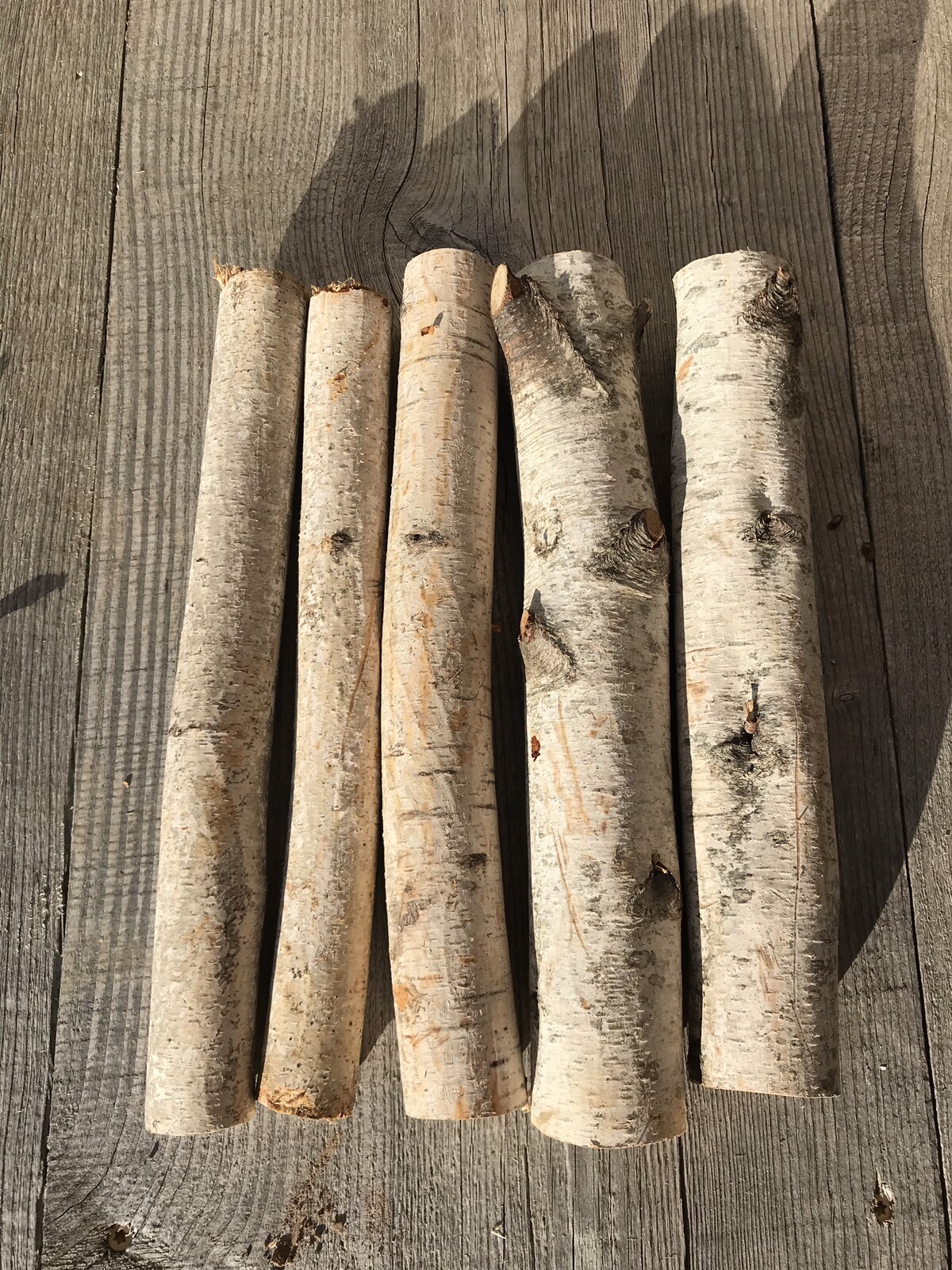 White Birch Logs, 5 count, 1-2 Inches Diameter, Approximately 11 Inches Long gallery