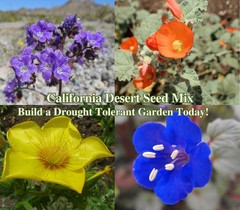 Drought Tolerant California Native Flowers Desert Seeds Native Wildflower Seed f