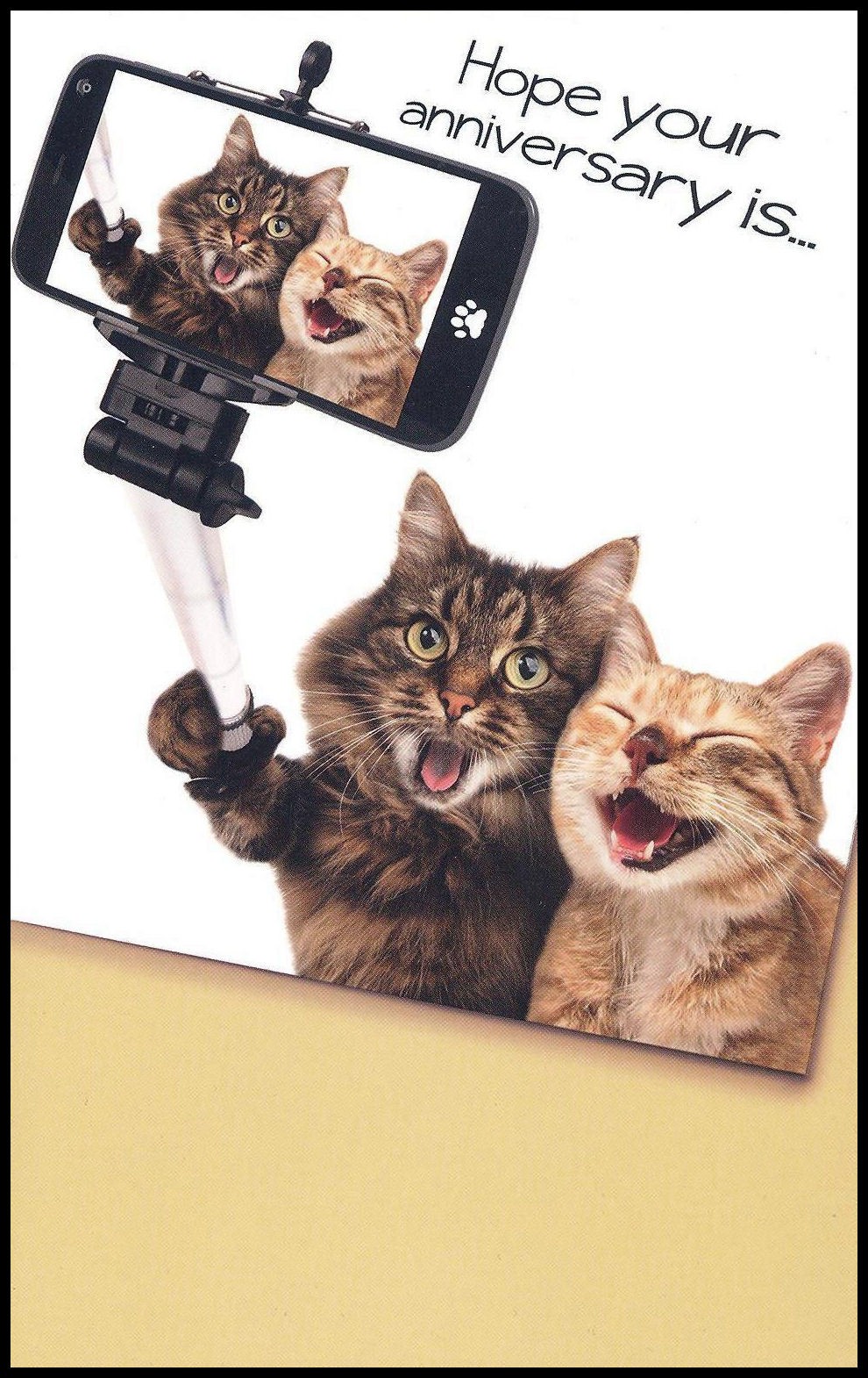 Anniversary Greeting Card - Cat Kitten (Tabby) - SW0002 gallery