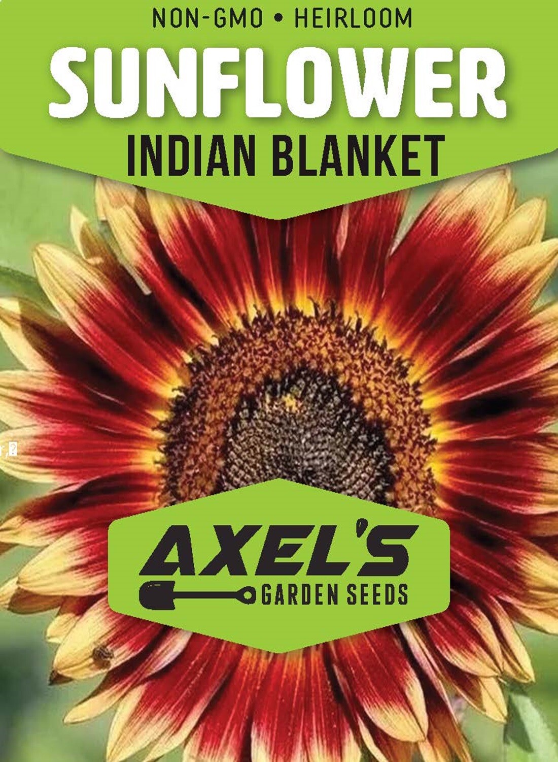 Indian Blanket Sunflower Seeds - Native Wildflower Pollinators Heirloom Non-GMO gallery
