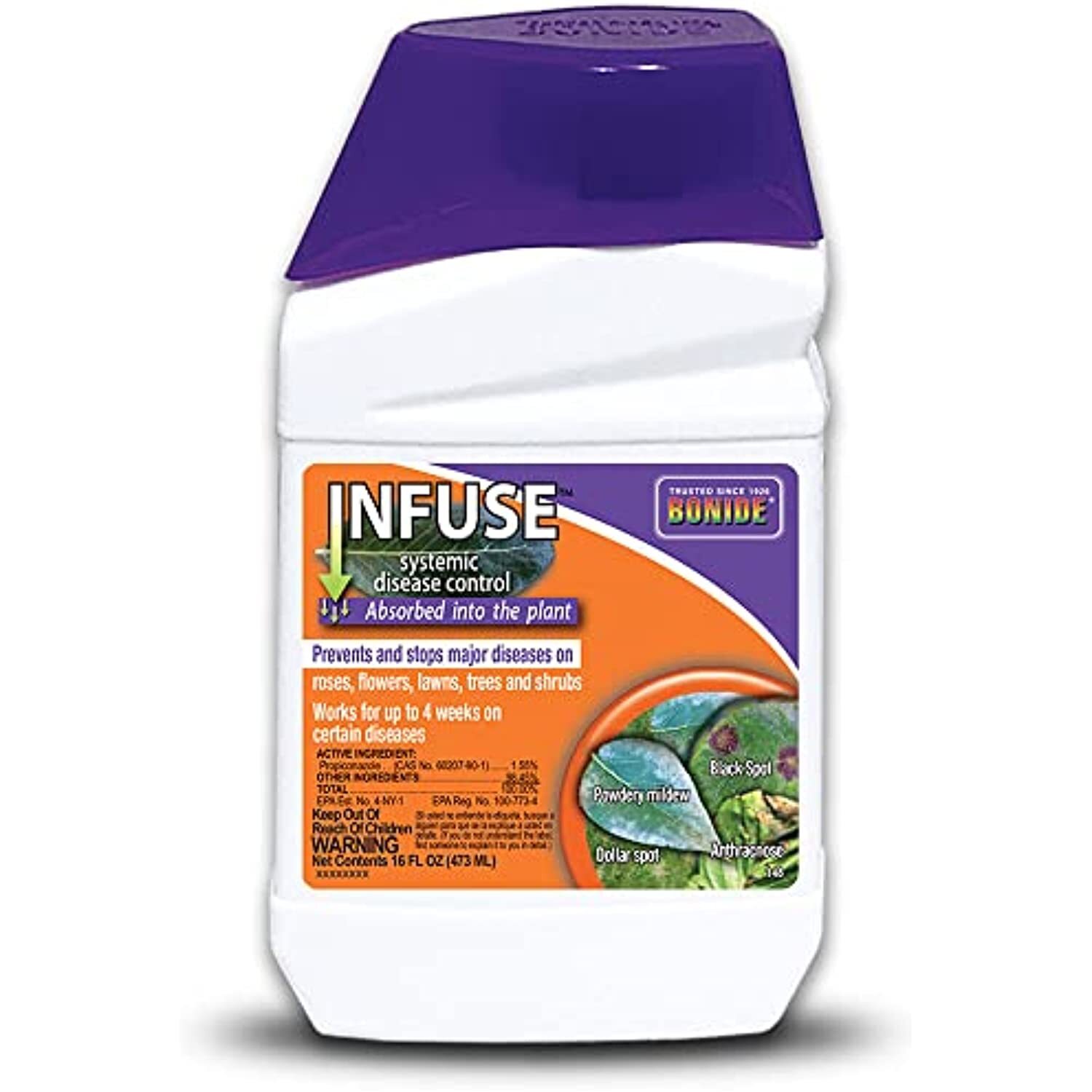 Bonide 148 Infuse Systemic Disease Control Fungicide Concentrate, 16 oz, gallery