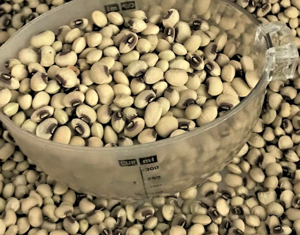 TOP PICK Pinkeye Purple Hull Peas 1000+~8oz Seed Southern Cowpea Germination 80% gallery