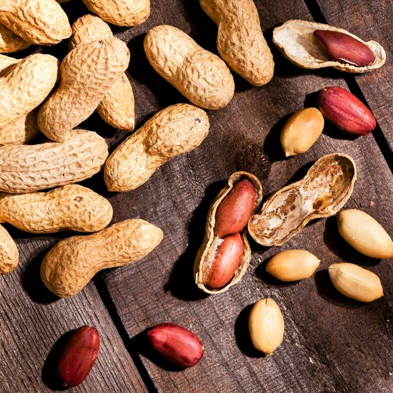 Jumbo Bailey Virginia Peanut Seeds | For Planting Top Producer Pea Nut Seed 2024 gallery