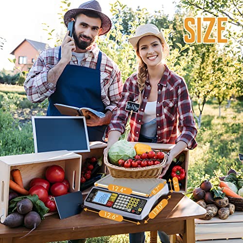 Price Computing Scale 66 lb Commercial Food Produce Scale for 66lb/30kg gallery