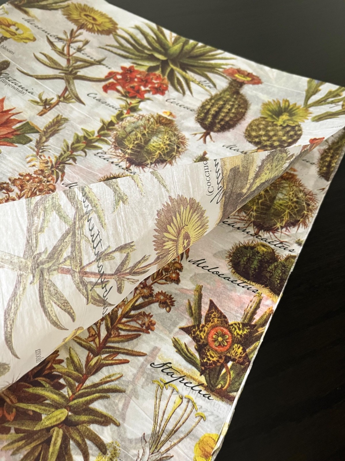 DESERT GARDEN Design Print Tissue Paper Sheets Choose Size & Package Amount gallery