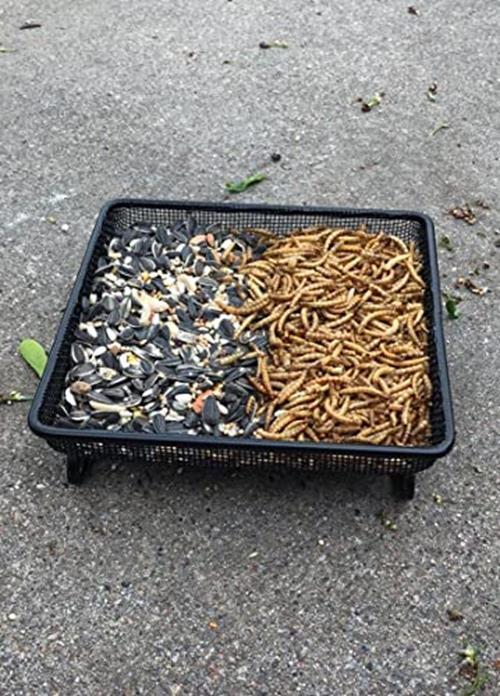 Platform Ground Bird Feeder Tray,Food Plates for Birds and Squirrels,Metal gallery