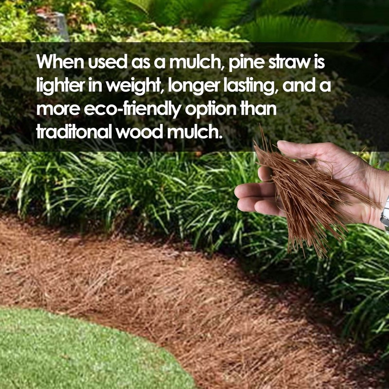 Garden Elements Long Leaf Pine Straw Bale For Mulch, Soil Amendment, 12.5 Pounds gallery