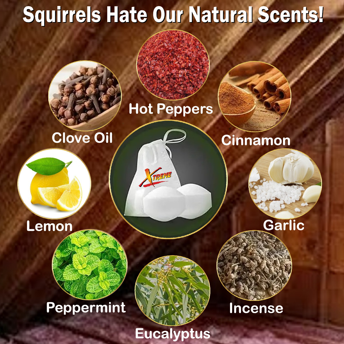 NEW! Attic Squirrel Repellent. DRIVES SQUIRRELS OUT FAST! 5 PK gallery