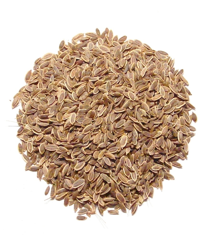 Dill Seed, Whole - 1 Pound - The "Pickle Spice" Bulk Seasoning by Denver Spice® gallery