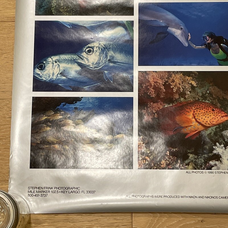 Signed Stephen Frink Underwater Nikon Photography Poster 1990 Vintage 36" x 24" gallery