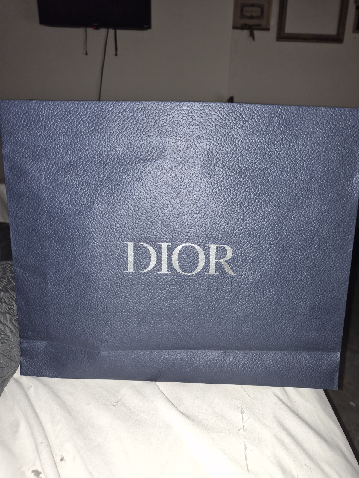 DIOR Large Grained Shopping Bag Silver Logo 16.5x14.5x4 gallery