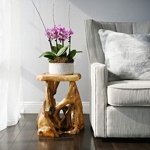 Tree Stump Stool, 19'' Tall Side Table, Live Edge Stool Edge End Natural gallery